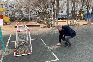Детскому саду нужен ремонт